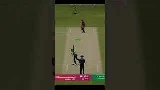Faheem Ashraf great spell 🔥🔥 #cricket24 #gameplay #youtubeshorts