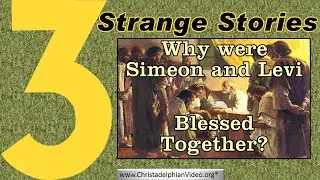 Why Were Simeon & Levi Blessed Together?