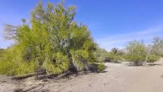 Tucson Arizona Trail 5 Minutes