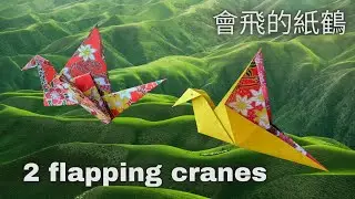 如何折兩種會飛的紙鶴, 比折紙鶴還簡單 How to fold 2 easy origami flapping cranes, easier than the crane