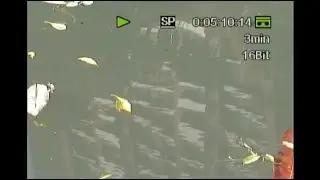 Leaves Drifting Slowly By In The Park Pond - MiniDV Recording