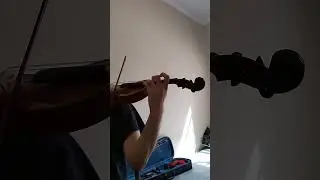 Epilogue (The Legend of Zelda: Breath of the Wild) #violin #cover
