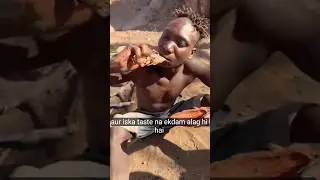 Jungle Hunter's Wild Feast: Unbelievable Meat-Carving Moment #wildlife #africa#africanpeople#fypシ