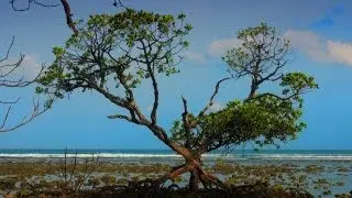 Saddle Peak, Highest point, North Andaman Island