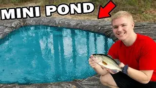 We Built a MINI POND! [STOCKED WITH BAIT-FISH]
