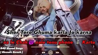 Sher Tere Ghuma Karla Jo Karna   Aa Le Chak Nale Tenu Phone Karta   Mari Se Tu Jehdi Aa Leek Tapti