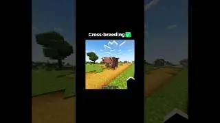 Minecraft WTF moments part-2 #viralvideo #minecraft #funny #shorts