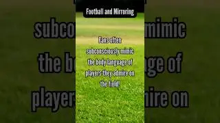 Fans And They Mimics🤟 #football #soccer #facts