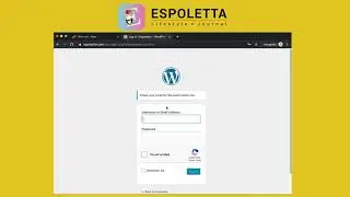 WordPress: Forgot password