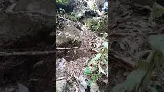 grabi paakyat sa taas nkakapagod.. #daanan papunta sa talon  #short video #ProvinceLeyte