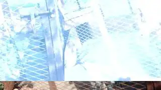MOV03441