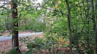 For Sale 3.9 ACRES of   