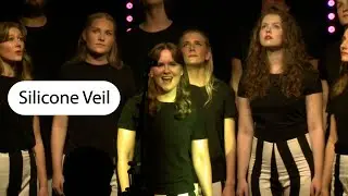 The Silicone Veil