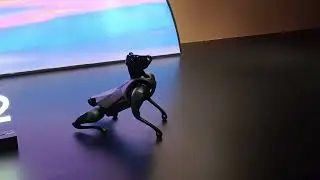 Четвероногий робот Xiaomi CyberDog 2. Каковы особенности собаки Xiaomi?