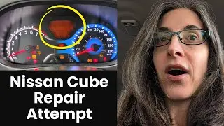 The Karate Shrimp F*cks Around & Finds Out - 2011 Nissan Cube Instrument Cluster