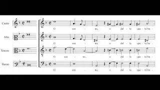Cipriano de Rore: O sonno - Daedalus