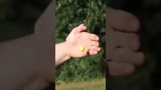 Catching Rubber Paintballs for Science&hellip; #funny #comedy #fail