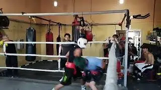 Sparring Xavier 