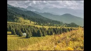 Карпати