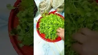 এই একটা জিনিসের জন্য সারাদিন ঘুরতে হলো আর সারাদিনের খাবার টা রাতে খেলাম