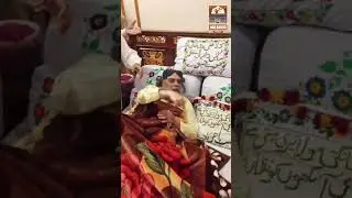 Najeeb Sultan Bahoo #najeebsultanbahoo #shorts #video #sultanbahoo #darbarsultanbahoo#haqbahoomedia