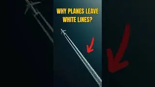 Why Do Planes Leave White Lines In The Sky?