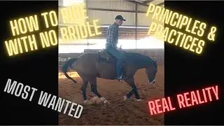 HOW TO RIDE WITH NO BRIDLE