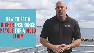 How to File an Insurance Claim For Mold | Minute Insurance Advice