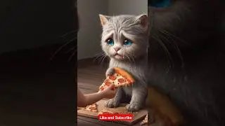 Cat Pizza Eating Story🥲 #shortsfeed #creativecat #ytshorts #catillustration #sad ai catstory #kitten