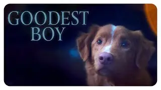 This Dog Starred in a Movie 🐶 | Fresh Releases