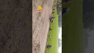 cleaning work#shortsfeeds #subscribre_like #myvlogs7740 #hardwork #farmlife #farm makeover #
