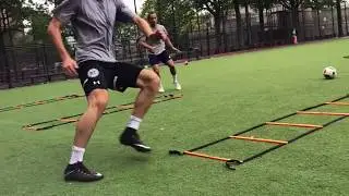 TDF Alumni Training 2017