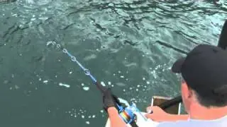 French Pass jigging King fish