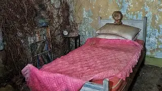 NATURES ABANDONED HOUSE FROZEN IN TIME EVERYTHING LEFT BEHIND - HIDDEN IN THE WOODS FOR  35 YEARS