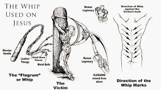 What Did the Whip That Scourged Jesus Look Like?