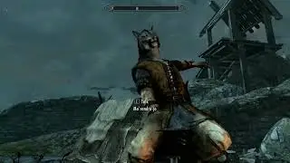 Khajiit NPC swimming in air glitch
