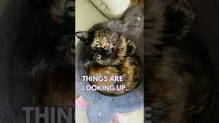 when the weather&rsquo;s getting warmer & the seasonal depression starts leaving your body 😸💚