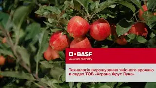 Технологія вирощування якісного врожаю в садах  ТОВ «Аграна Фрут Лука»