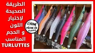 كيف تختار لون و حجم Turlutte المناسب حسب حالة البحر