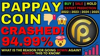 PAPPAY Coin Down By 94.99%| FirstDog News| Bunscake News| Waterfall Finance Coin|Cryptocurrency News