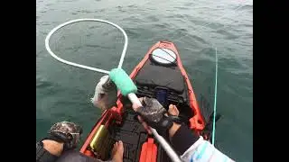 PESCARIA de Sargo e jaguari&ccedil;a  EM BARRA DE GUARATIBA COM PCCAIAQUEIRO 🚗💭💭💭do peixe .