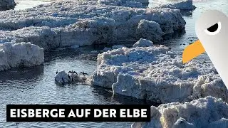 Geesthacht: Meterhohe Eisberge auf der Elbe 🥶 Eisbrecher im Einsatz