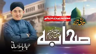 Sahaba Hamare Bari Shaan Walay | Hafiz Abdul Basit Hasani | Jazbati Naat 2025