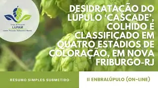 DESIDRATA&Ccedil;&Atilde;O DO L&Uacute;PULO &lsquo;CASCADE&rsquo;, COLHIDO E CLASSIFICADO EM QUATRO EST&Aacute;DIOS, EM NOVA FRIBURGO-RJ