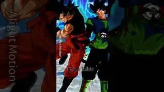 CC GOKU (PRIME) FINAL STORIES VS AF GOKU PVG (ORIGINAL)