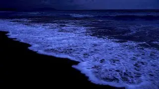 Ocean Waves for Sleep | No Music | Natural Sound