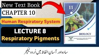Class 11 Biology Chapter 10 | Respiratory Pigments | Human Respiratory System | New Book 2025