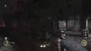 Torture path into the storm Easter egg attempt :WW2 Nazi zombie