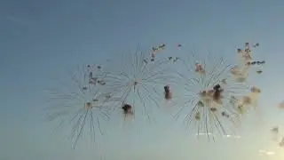 NOVOLI (Le) Sant' antonio abate 2026 - COLANGELO FIREWORKS
