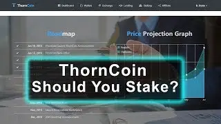 Thorncoin Staking Live - Should We Stake?
